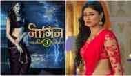 Naagin 3 actress Karishma Tanna's these Instagram posts will prove that she is the best replacement of Mouni Roy