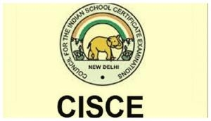 ICSE result 2018: Meet Mumbai twin brothers who scored the same percentage in their Class 10; see pics