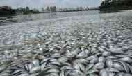  Gulf of Oman's 'Dead Zone' is expanding and is devoid of oxygen, says researchers