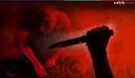 Delhi: Man stabs gym trainer to death with 'butter knife' after argument over song demand during birthday party; DJ held
