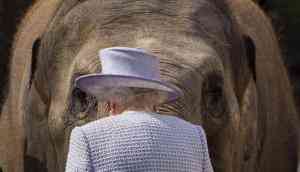Unseen pictures of Royal family taken by members of the public
