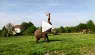 Viral Video: This somersault on an elephant will remind you of 'Baahubali' epic scene