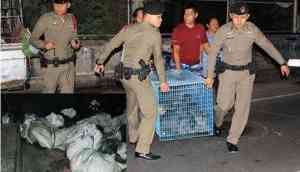 Police rescues 14 live dogs, cats from tied sacks in Thailand