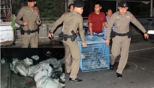 Police rescues 14 live dogs, cats from tied sacks in Thailand