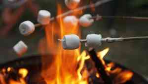 Roasting marshmallows over volcanic vent