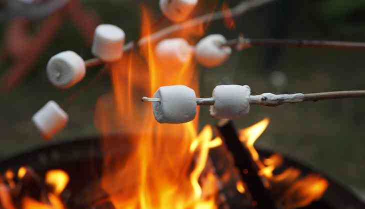 Roasting marshmallows over volcanic vent