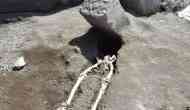 Twitter gives second life to 200-year-old Pompeii's unluckiest man excavated at Mount Vesuvius