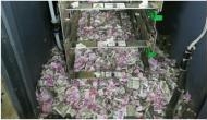 Video: After Vijay Mallya, now mice dupped SBI, crawl into ATM and chew cash Rs 12 lakh in Assam; Tweeple calls it a surgical strike