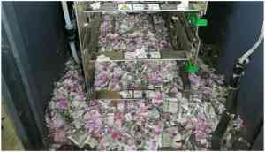 Video: After Vijay Mallya, now mice dupped SBI, crawl into ATM and chew cash Rs 12 lakh in Assam; Tweeple calls it a surgical strike