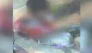 Assam: Couple thrashed by villagers over an affair, man tied to a tree and beaten; woman's head shaved, 8 held