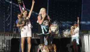 Bulldog Zsa Zsa wins title of World’s Ugliest Dog, earns Rs 1 lakh