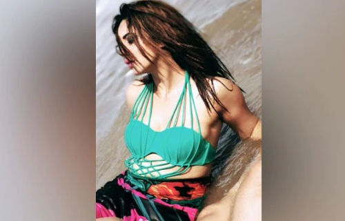 Arshi Khan Nude Seductive Videos - Bigg Boss 11 controversy queen Arshi Kha...