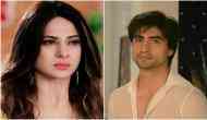 Bepannah: Zoya aka Jennifer Winget and Harshad Chopra to get shock after hearing the name of Yash and Pooja's real killer