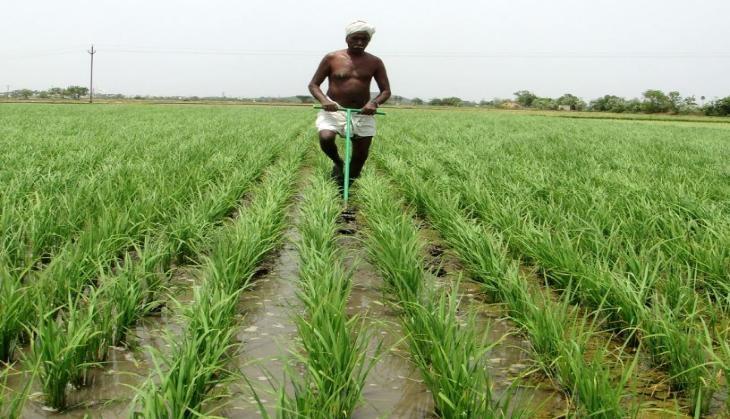 Lockdown guidelines: Govt continues to allow agricultural and allied ...