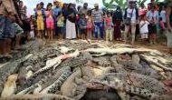 Thai mob slaughtered nearly 300 crocodiles in revenge