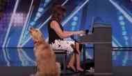 Watch video: Singing golden retriever impressed everyone, including Simon Cowell, on America’s Got Talent