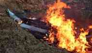 300 crocodiles carcasses burned after revenge killing in Indonesia