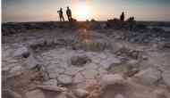 Scientists discover remains of 14,000-year-old bread