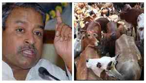 Alwar Mob Lynching: ‘Muslims should think before touching cow’, says BJP leader Katiyar