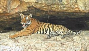 The Day of the Tiger
