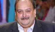 PNB scam row: 'Come to India,' says ED in response to Mehul Choksi's demand to know the cases and allegations against him