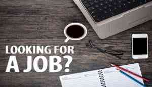 'Jobs near me' tops Google search in India and sees a sharp rise since 2016 after BJP government came to power