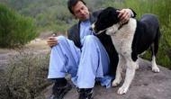 Pakistan Prime Minister-in-waiting Imran Khan's pet dogs get Wikipedia page