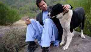 Pakistan Prime Minister-in-waiting Imran Khan's pet dogs get Wikipedia page