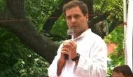 Congress Councillor takes on BJP MP for calling Rahul Gandhi 'Pappu'