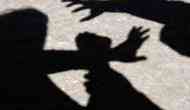 Shame! 25-year-old woman assaulted with a cricket bat by her husband in Thane for this silliest reason!