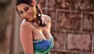 Just before Independence Day, Poonam Pandey’s dance video went viral