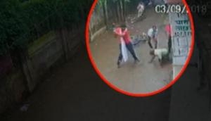Caught on Camera: Retired cop brutally beaten to death by goons in Allahabad, onlookers watched; video goes viral