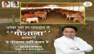Assembly Elections 2018: Congress MP chief Kamal Nath steps in 'cow-politics'; promises to build gaushalas in every panchayat