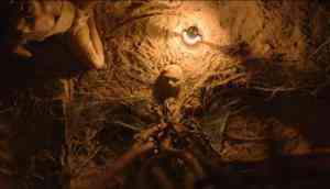 Tumbbad trailer out: This film of Aanand L Rai is something beyond horror and period