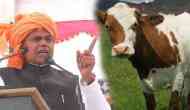 HP Governor Acharya Dev Vrat advised not to drink ‘milk’ of foreign cows; the reason will amuse you!