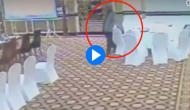 Watch Video: Pakistani bureaucrat Zarar Haider Khan caught on camera stealing wallet of Kuwaiti delegate