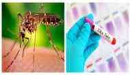 Beware! Zika virus cases rise to 100 in this state of India; check out the symptoms