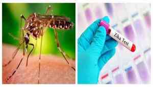 Zika Alert: US advises pregnant women not to travel to India and specifically Rajasthan; 153 cases reported in Oct