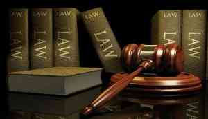 Signs That You are Made to Pursue a Degree in Criminal Law