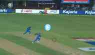Watch: OMG! Virat Kohli and Ravindra Jadeja ran to chase the ball in an interesting way; know who won the race
