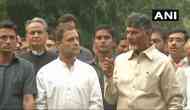 Lok Sabha election: Rahul Gandhi led Congress announces alliance with Chandrababu Naidu's TDP 'to save Indian democracy'