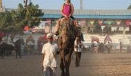 Pushkar Fair 2018:  Big Show, Big Fun, More Money, Pain for Animals