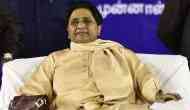 Supreme Court orders BSP supremo Mayawati to reimburse money spent on Elephant statues, party on backfoot