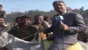 Viral Watch: Pakistani journalist falls off donkey during live reporting on animal trade; video will make you go ROFL