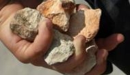 Shocking! 32-year-old woman allegedly stoned to death by her husband in Rajasthan's Rajsamand; reason will hit you hard!