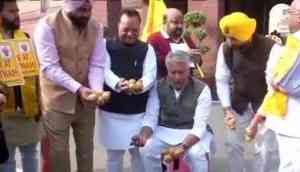 Punjab Congress MPs sell 'potatoes' outside Parliament; alleged Modi govt not listening to farmers’ problems