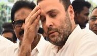 Activist Madhu Kishwar asks Rahul Gandhi if he will promise free sex to adults; says she will wait for it!
