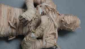 Shocking! Highly decomposed body found in wooden box, wrapped in clothes like ‘mummy’ in Bhopal flat, locked for months