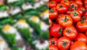 farmers to stop paan supply to pakistan