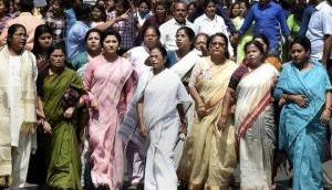 Expect 2019 polls to be 'election of women of India': Book